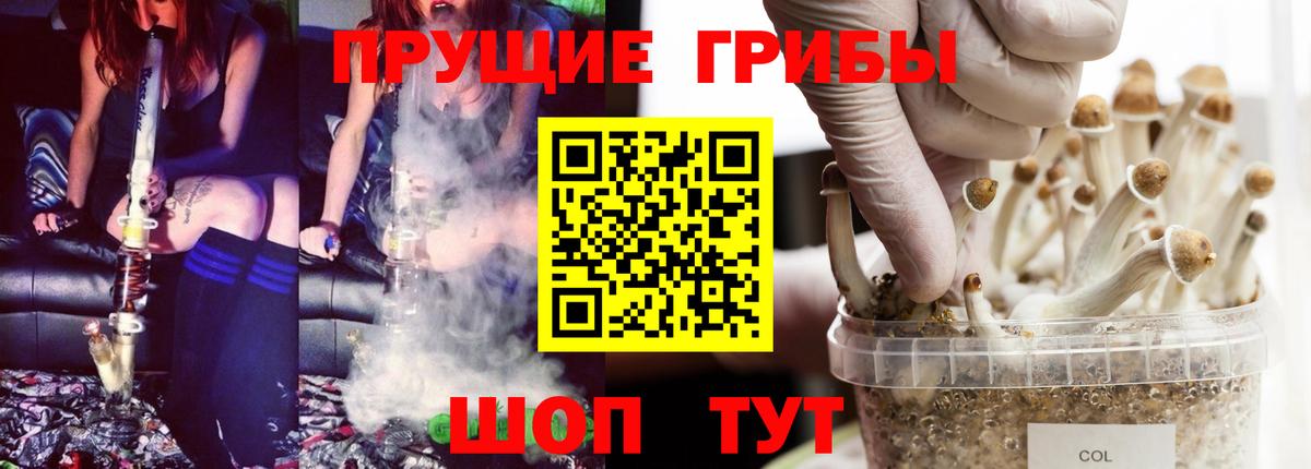 Рославль  дарнет шоп  Вход с VPN  Псилоцибиновые грибы прущие грибы 