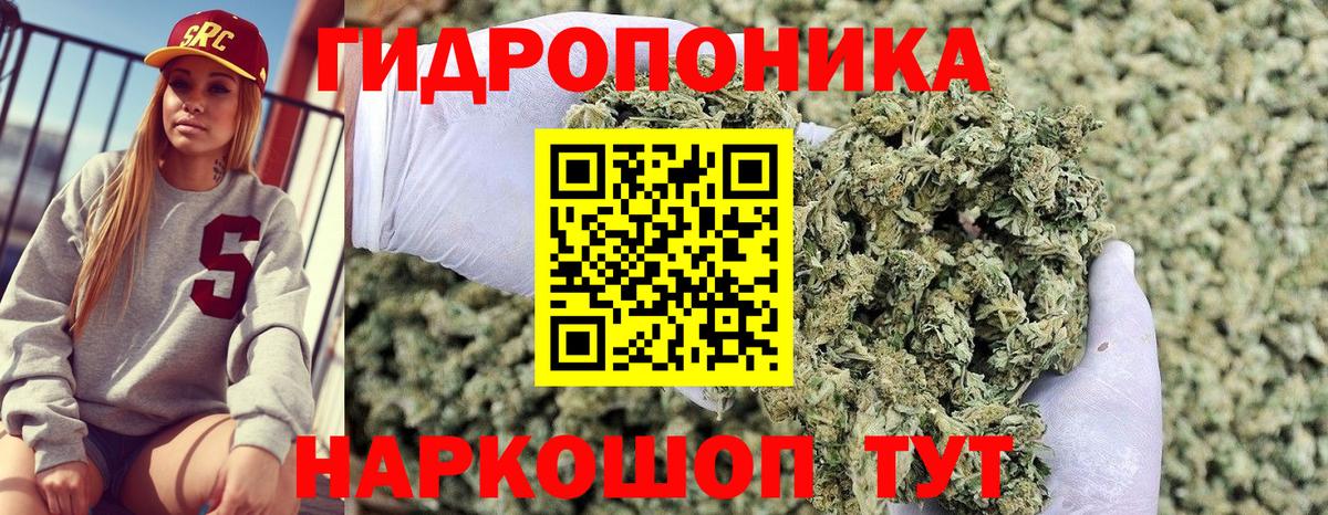 Конопля конопля Рославль